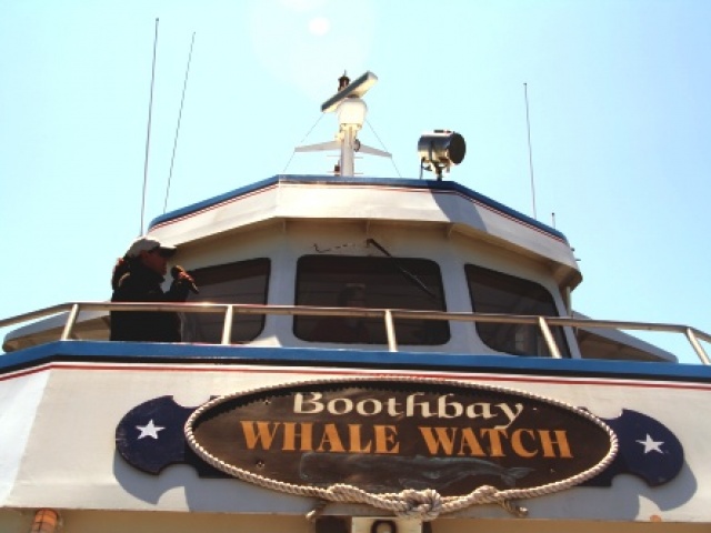 Boothbay Whale Watch