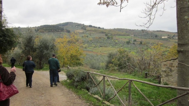 Chianti Countryside