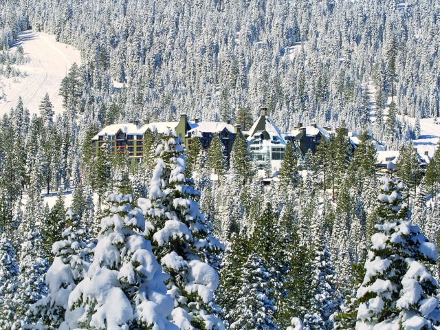 The Ritz Carlton-Lake Tahoe