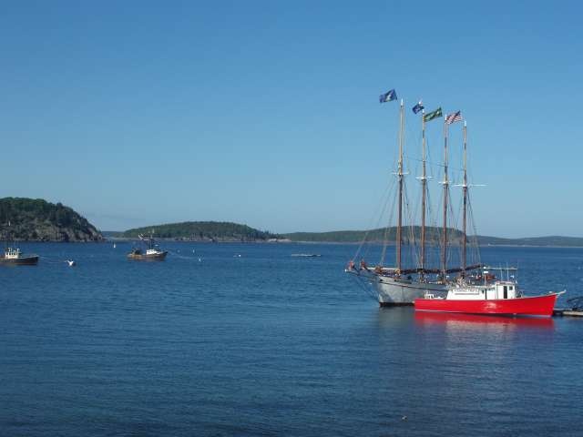 Margaret Todd on bright day in Bar Harbor