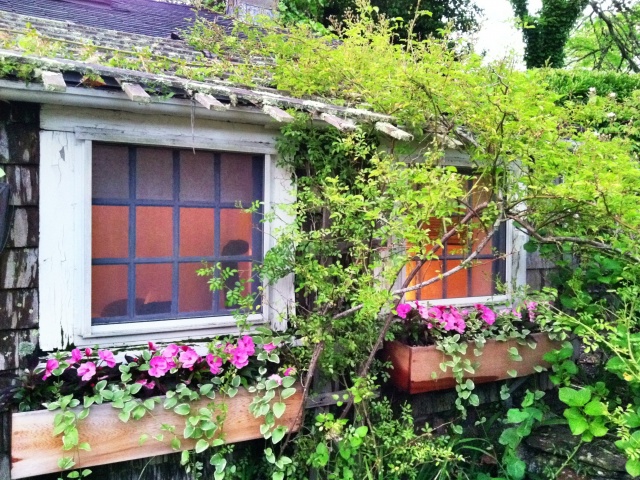 Nantucket Wine Festival - Summer House Gardenia Cottage