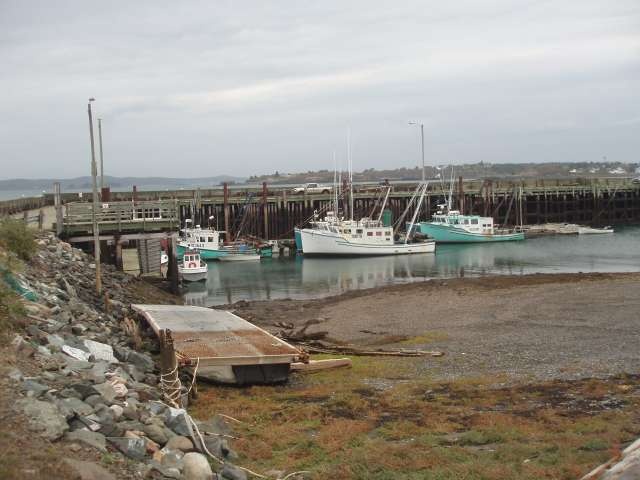 Low tide at dock on Campobello Island