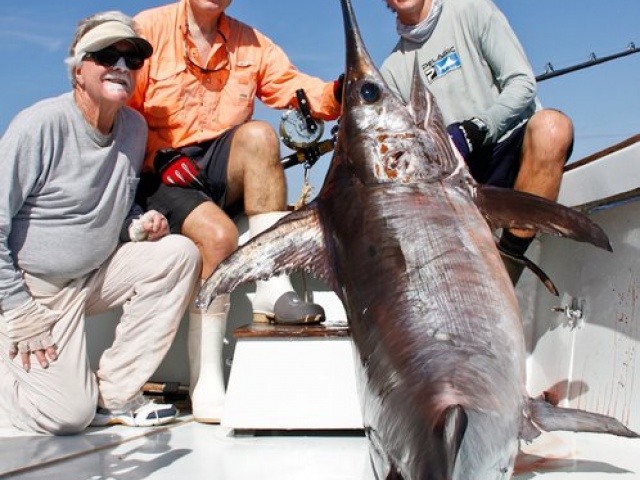 450-pound swordfish caught from Bud N' Mary's Marina