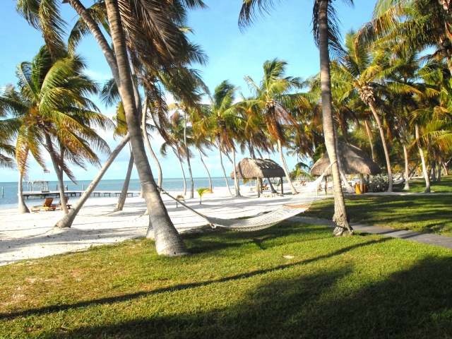 Palms and Beach at the Moorings