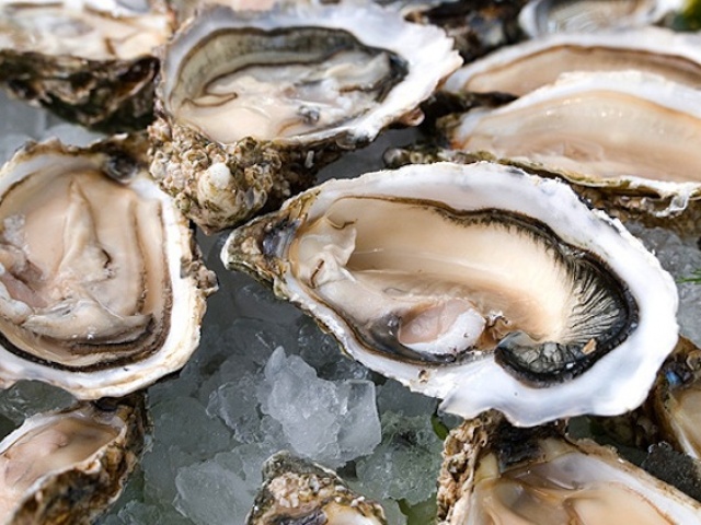 Amazing Fresh Oyster Selections 