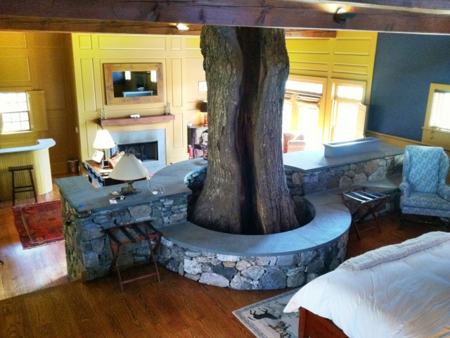 Winvian - Charter Oak Cottage - The Tree!